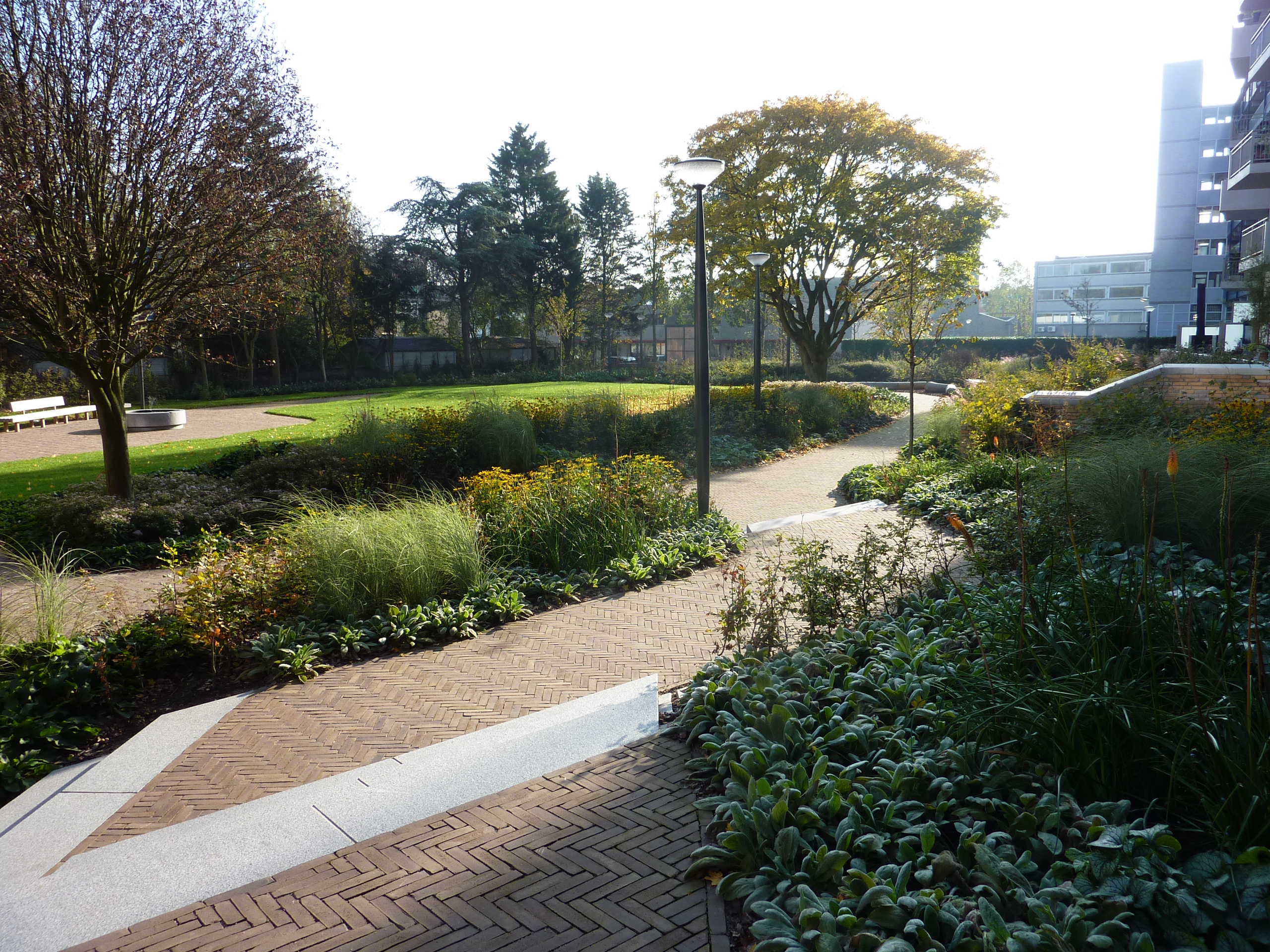SeptimA Sepia klinker in een topontwerp