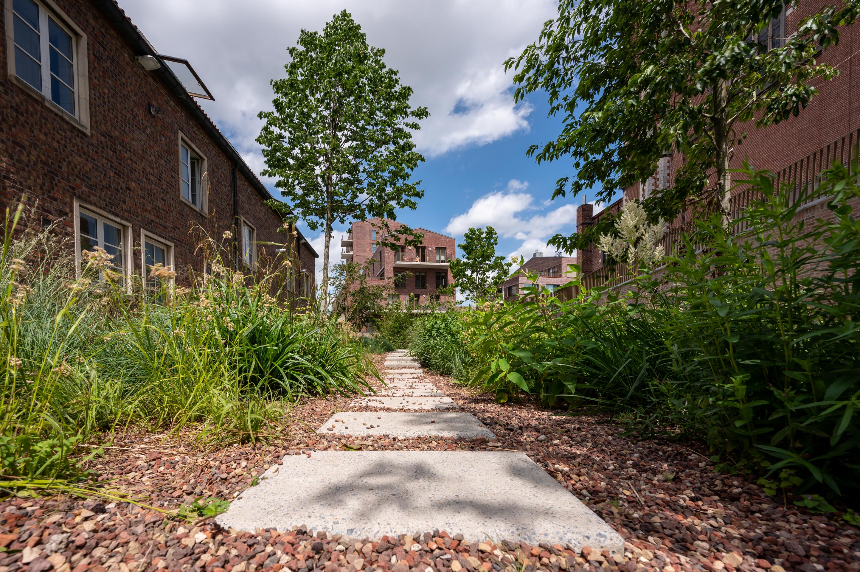 Integratie van het water in het leven van de stad in Wetteren aan de Schelde