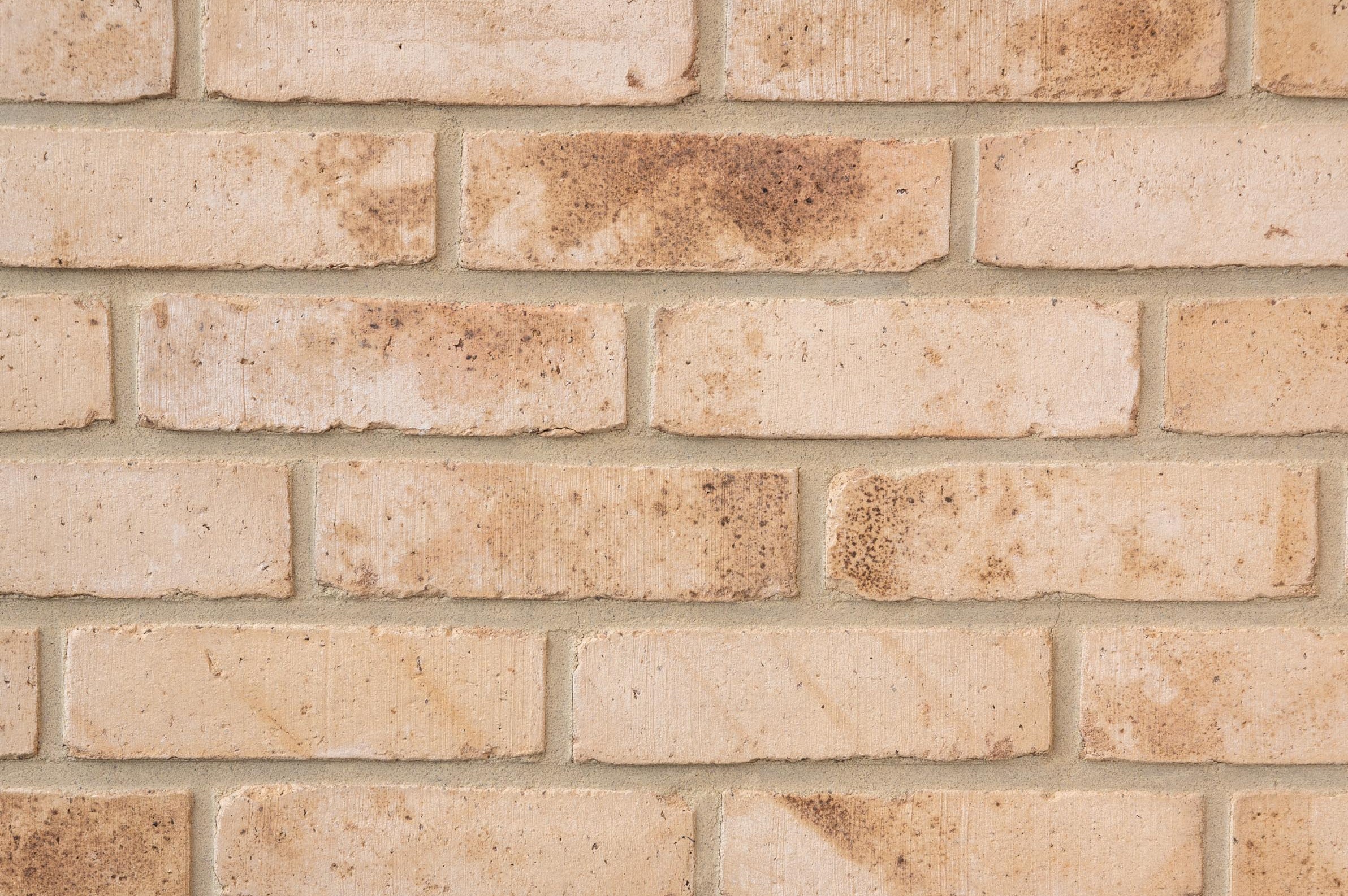 vandemoortel.Dto.CollectionDto N10 Brick J