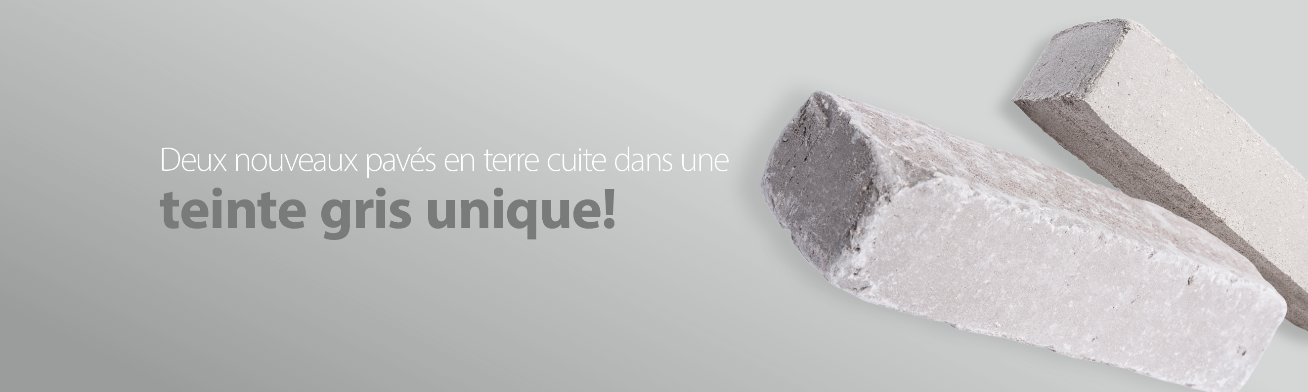 Deux nouveaux pavés en terre cuite dans une teinte gris unique